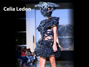 tierra-viento-fuego-agua-panama-2026-celia-ledon-05